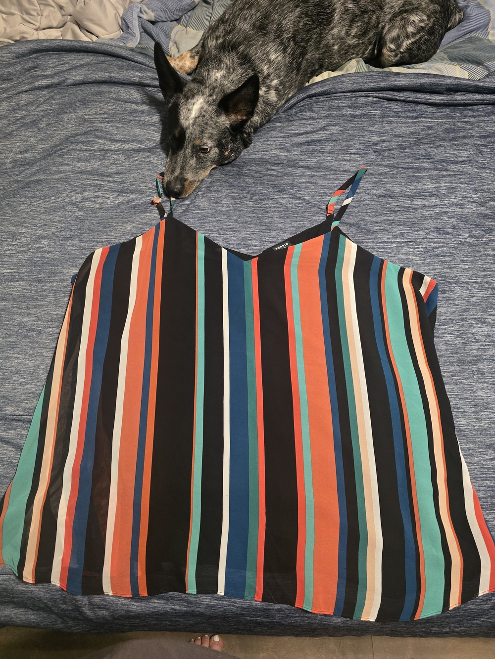 Multicolor Striped V-Neck Cami Top